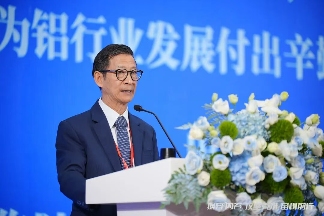 全球铝业巨头齐聚大沥，竟然是为了破解这个“内卷”困局(图6)