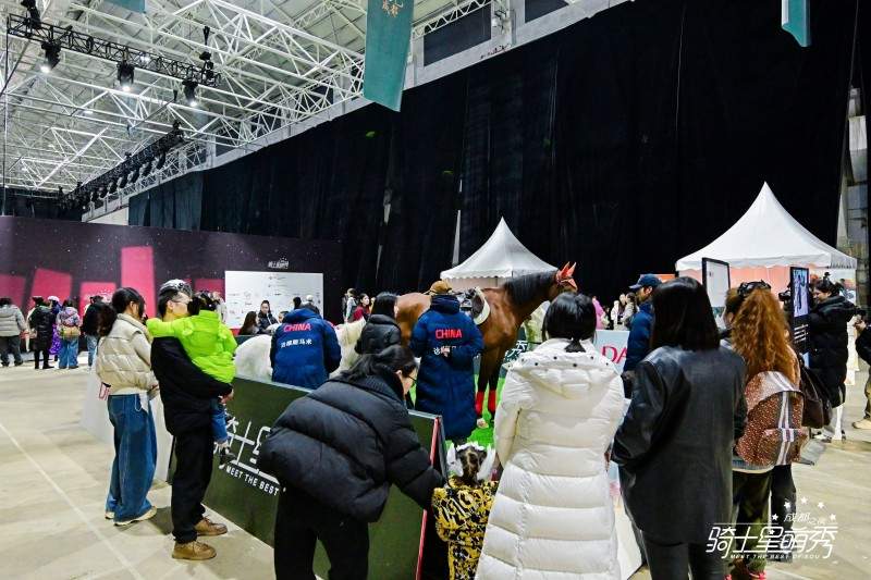 骑士星萌秀·成都之夜成功举办 拉开2026骑士星萌秀城市系列帷幕(图18)