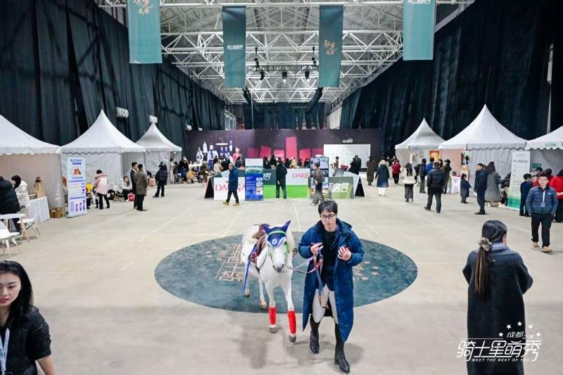 骑士星萌秀·成都之夜成功举办 拉开2026骑士星萌秀城市系列帷幕(图15)