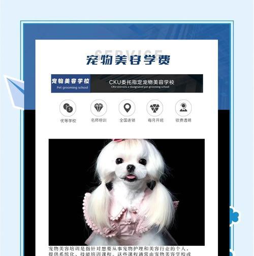 宠物美容师培训课程：掌握专业技巧，开启职业发展之路(图2)