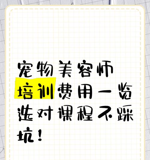 宠物美容师培训课程：掌握专业技巧，开启职业发展之路 - 良天资讯